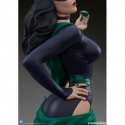 Catwoman par Tweeterhead - buste 1/3 DC Comics de 39 cm