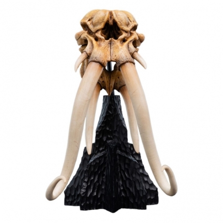 Crâne de Mumak Miniature Skull par Weta - figurine Le Seigneur Des Anneaux de 22 cm