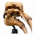Crâne de Mumak Miniature Skull par Weta - figurine Le Seigneur Des Anneaux de 22 cm