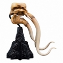 Crâne de Mumak Miniature Skull par Weta - figurine Le Seigneur Des Anneaux de 22 cm