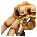 Skull of Mumak Miniature Skull by Weta - The Lord Of The Rings 22 cm figure