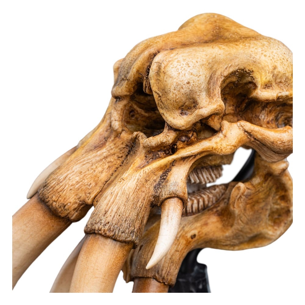 Crâne de Mumak Miniature Skull par Weta - figurine Le Seigneur Des Anneaux de 22 cm