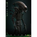 Big Chap par Hot Toys - figurine 1/6 Alien de 36 cm - Reference MMS826