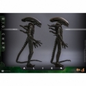 Big Chap par Hot Toys - figurine 1/6 Alien de 36 cm - Reference MMS826
