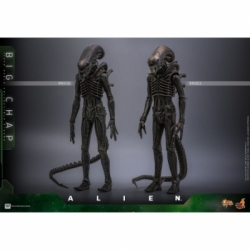 Big Chap by Hot Toys - Alien 1/6 scale action figure - Reference MMS826