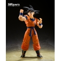 Son Goku et Kid Son Gohan SH Figuarts par Bandai Tamashii Nations - figurines Dragon Ball Z de 14 cm