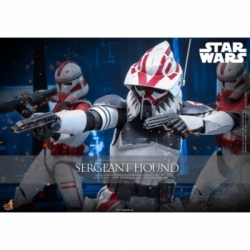 Sergeant Hound van Hot Toys - Star Wars : The Clone Wars 1/6 schaal actiefiguur - TMS167