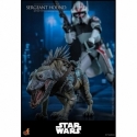 Sergeant Hound par Hot Toys - figurine 1/6 Star Wars : The Clone Wars de 30 cm - Reference TMS167