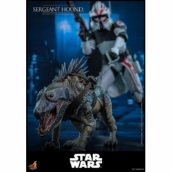 Sergeant Hound van Hot Toys - Star Wars : The Clone Wars 1/6 schaal actiefiguur - TMS167