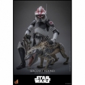Sergeant Hound par Hot Toys - figurine 1/6 Star Wars : The Clone Wars de 30 cm - Reference TMS167