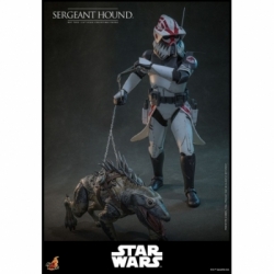 Sergeant Hound van Hot Toys - Star Wars : The Clone Wars 1/6 schaal actiefiguur - TMS167