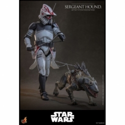 Sergeant Hound van Hot Toys - Star Wars : The Clone Wars 1/6 schaal actiefiguur - TMS167