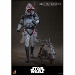 Sergeant Hound van Hot Toys - Star Wars : The Clone Wars 1/6 schaal actiefiguur - TMS167