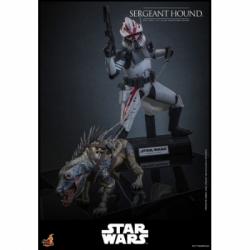 Sergeant Hound van Hot Toys - Star Wars : The Clone Wars 1/6 schaal actiefiguur - TMS167