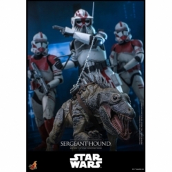 Sergeant Hound van Hot Toys - Star Wars : The Clone Wars 1/6 schaal actiefiguur - TMS167