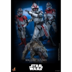 Sergeant Hound van Hot Toys - Star Wars : The Clone Wars 1/6 schaal actiefiguur - TMS167