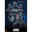 Sergeant Hound by Hot Toys - Star Wars : The Clone Wars 1/6 scale action figure - Reference TMS167