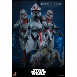 Sergeant Hound van Hot Toys - Star Wars : The Clone Wars 1/6 schaal actiefiguur - TMS167