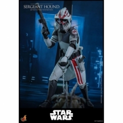 Sergeant Hound van Hot Toys - Star Wars : The Clone Wars 1/6 schaal actiefiguur - TMS167