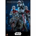 Sergeant Hound par Hot Toys - figurine 1/6 Star Wars : The Clone Wars de 30 cm - Reference TMS167