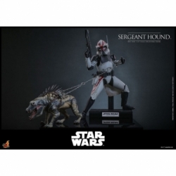 Sergeant Hound van Hot Toys - Star Wars : The Clone Wars 1/6 schaal actiefiguur - TMS167