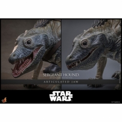 Sergeant Hound van Hot Toys - Star Wars : The Clone Wars 1/6 schaal actiefiguur - TMS167