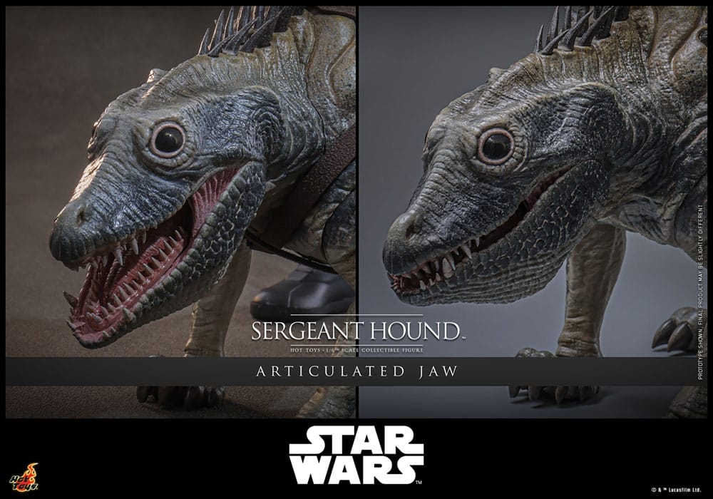 Sergeant Hound par Hot Toys - figurine 1/6 Star Wars : The Clone Wars de 30 cm - Reference TMS167