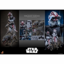 Sergeant Hound van Hot Toys - Star Wars : The Clone Wars 1/6 schaal actiefiguur - TMS167