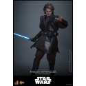 Anakin Skywalker by Hot Toys - Star Wars: Revenge Of The Sith 1/6 scale action figure - Reference MMS839