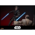 Anakin Skywalker by Hot Toys - Star Wars: Revenge Of The Sith 1/6 scale action figure - Reference MMS839
