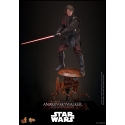 Anakin Skywalker by Hot Toys - Star Wars: Revenge Of The Sith 1/6 scale action figure - Reference MMS839