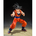Son Goku (The Kind-Hearted Saiyan) SH Figuarts par Bandai Tamashii Nations - figurine Dragon Ball Z de 13 cm