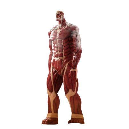 Titan Colossal Mega Sofvi par Kaiyodo - figurine L'Attaque Des Titans de 63 cm Titan Colossal Mega Sofvi par Kaiyodo - figurine L'Attaque Des Titans de 63 cm