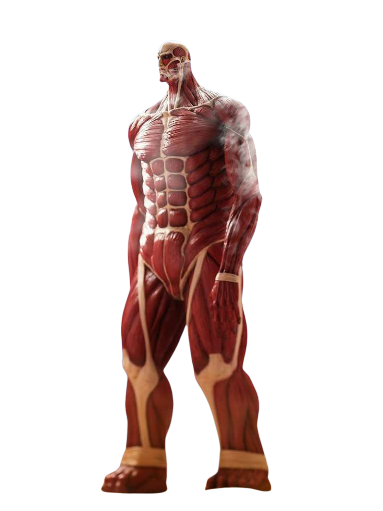 Titan Colossal Mega Sofvi par Kaiyodo - figurine L'Attaque Des Titans de 63 cm