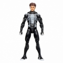 Spider Venom Marvel Legends by Hasbro - Spider-Man 15 cm action figure