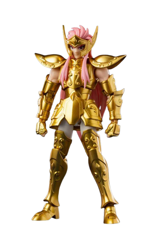 Aquarius Camus Champion Class by Blokees - Saint Seiya 16 cm action figure - Reference 08