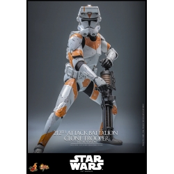 212th Attack Battalion Clone Trooper by Hot Toys - Deluxe - Star Wars 1/6 scale action figure - MMS852