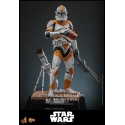 212th Attack Battalion Clone Trooper by Hot Toys - Deluxe - Star Wars 1/6 scale action figure - MMS852