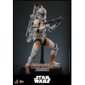 212th Attack Battalion Clone Trooper by Hot Toys - Deluxe - Star Wars 1/6 scale action figure - MMS852