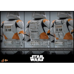212th Attack Battalion Clone Trooper by Hot Toys - Deluxe - Star Wars 1/6 scale action figure - MMS852