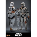 212th Attack Battalion Clone Trooper Deluxe par Hot Toys - figurine 1/6 Star Wars Episode III de 30 cm - MMS852