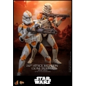 212th Attack Battalion Clone Trooper Deluxe par Hot Toys - figurine 1/6 Star Wars Episode III de 30 cm - MMS852
