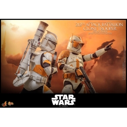 212th Attack Battalion Clone Trooper by Hot Toys - Deluxe - Star Wars 1/6 scale action figure - MMS852