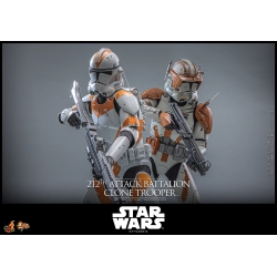 212th Attack Battalion Clone Trooper by Hot Toys - Collector - Star Wars 1/6 scale action figure - MMS851