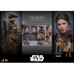 Leia Organa (Boushh Disguise) par Hot Toys - figurine 1/6 Star Wars Episode VI : Le Retour Du Jedi de 27 cm - MMS854