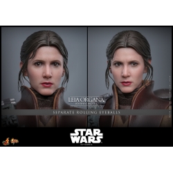 Leia Organa (Boushh Disguise) by Hot Toys - Star Wars Episode VI : Return Of The Jedi 1/6 scale action figure - Reference MMS854