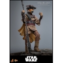 Leia Organa (Boushh Disguise) by Hot Toys - Star Wars Episode VI : Return Of The Jedi 1/6 scale action figure - Reference MMS854