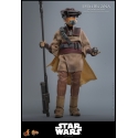 Leia Organa (Boushh Disguise) par Hot Toys - figurine 1/6 Star Wars Episode VI : Le Retour Du Jedi de 27 cm - MMS854