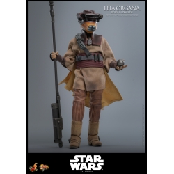 Leia Organa (Boushh Disguise) by Hot Toys - Star Wars Episode VI : Return Of The Jedi 1/6 scale action figure - Reference MMS854