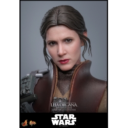 Leia Organa (Boushh Disguise) by Hot Toys - Star Wars Episode VI : Return Of The Jedi 1/6 scale action figure - Reference MMS854